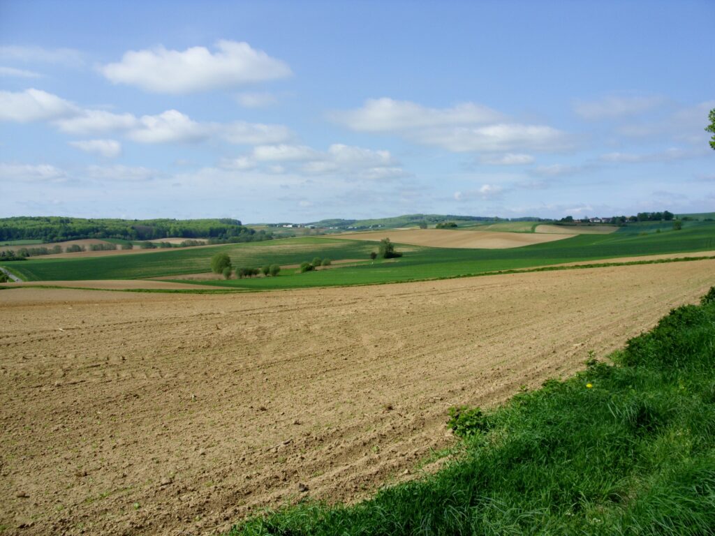 Highlights Wandern rund um's Dilsbachtal
